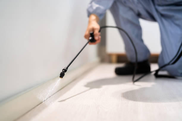 Licensed Cockroach Control service in Fairbanks North Star Borough County, AK - Nex Pest Control